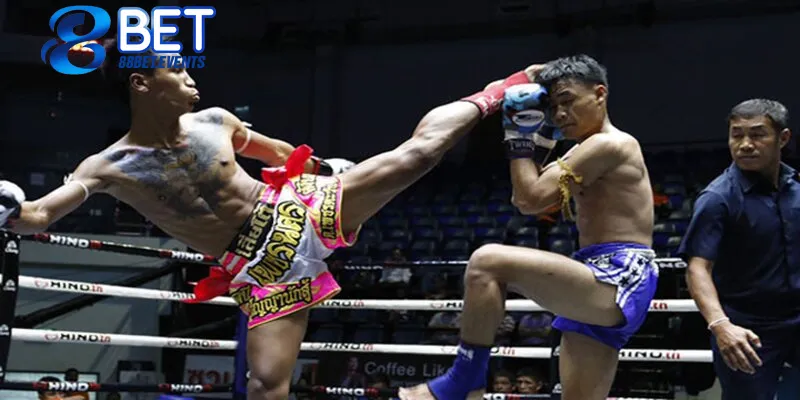 Giới thiệu sản phẩm cá cược boxing 88BET là gì